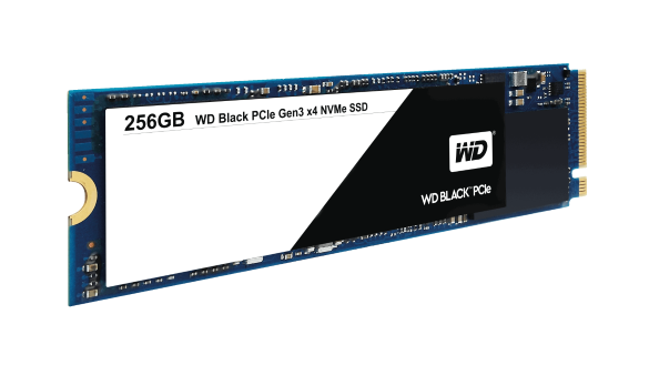 WDS256G1X0C WDS256G1X0C