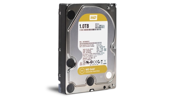 WD1005FBYZ WD1005FBYZ